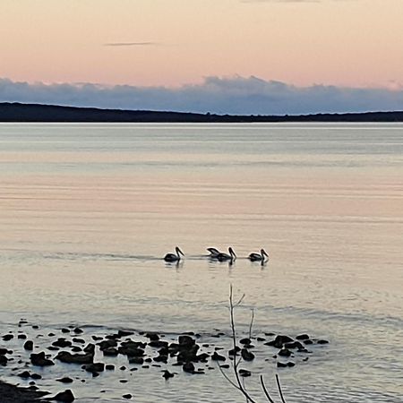 Port Lincoln Caravan Park North Shields Esterno foto