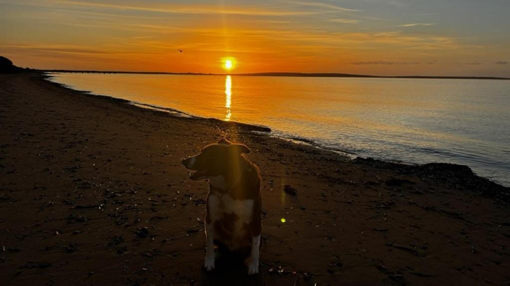 Port Lincoln Caravan Park North Shields Esterno foto